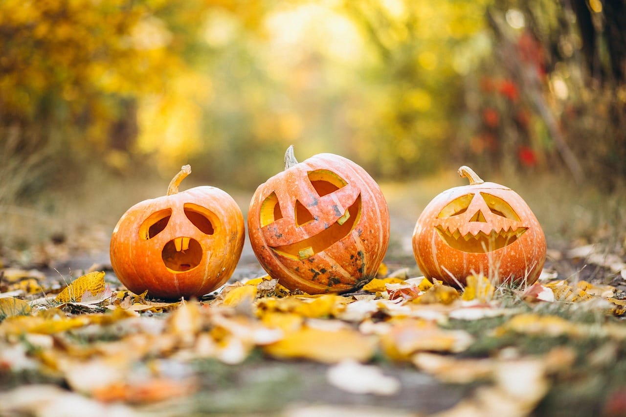 Top 7 Family Destinations for the Halloween Season